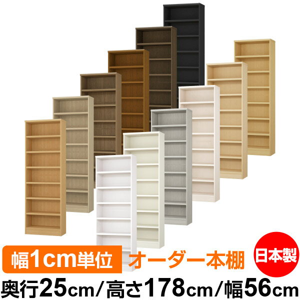 ��ê ���顼�ܥå��� ��1cmñ�̥��������ñ���25cm �⤵178cm ��56cm�������� ���� F�������� ����������å� ��Ǽê ���������ޥ����å� ��...