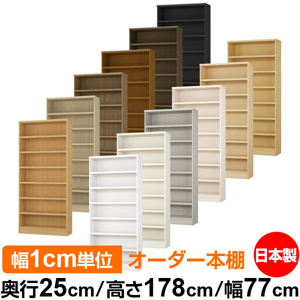 ��ê ���顼�ܥå��� ��1cmñ�̥��������ñ���25cm �⤵178cm ��77cm�������� ���� F�������� ����������å� ��Ǽê ���������ޥ����å� ��...