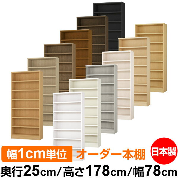 ��ê ���顼�ܥå��� ��1cmñ�̥��������ñ���25cm �⤵178cm ��78cm�������� ���� F�������� ����������å� ��Ǽê ���������ޥ����å� ��...