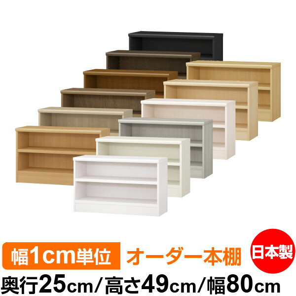 ��ê ��1cmñ�̥������� ��ê ���顼�ܥå����ñ���25cm �⤵49cm ��80cm�������� ���� F�������� ����������å� ��Ǽê ���������ޥ����å�...