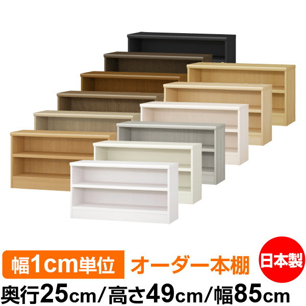 ��ê ���顼�ܥå��� ��1cmñ�̥��������ñ���25cm �⤵49cm ��85cm�������� ���� F�������� ����������å� ��Ǽê ���������ޥ����å� �Ѳ�...