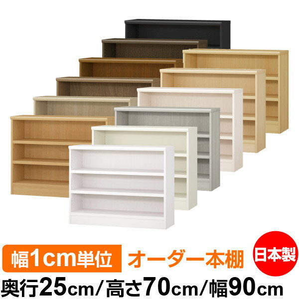 ��ê ���顼�ܥå��� ��1cmñ�̥��������ñ���25cm �⤵70cm ��90cm�������� ���� F�������� ����������å� ��Ǽê ���������ޥ����å� �Ѳ�...