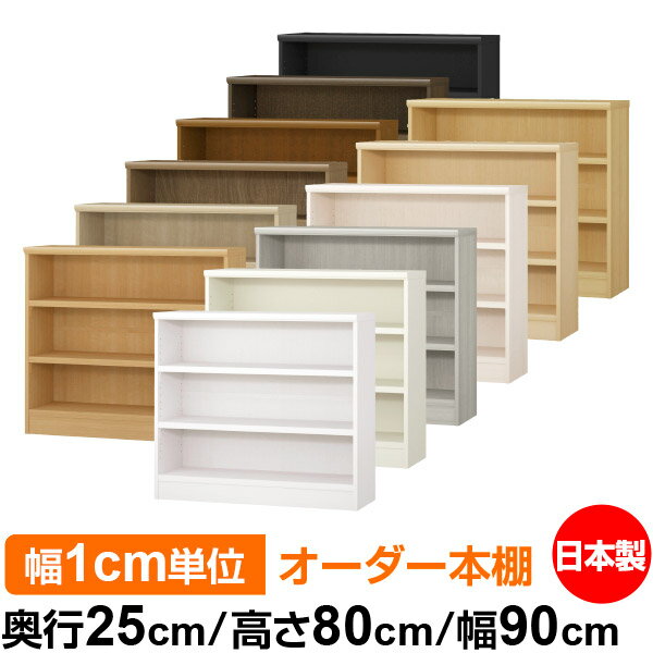 ��ê ���顼�ܥå��� ��1cmñ�̥��������ñ���25cm �⤵80cm ��90cm�������� ���� F�������� ����������å� ��Ǽê ���������ޥ����å� �Ѳ�...