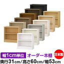 本棚 薄型 大容量 収納 奥行31cm 高さ60cm 幅53cm|日本製 木製 F★★★★ オーダーラック 収納棚 オーダーマルチラック 標準棚板 送料無料
