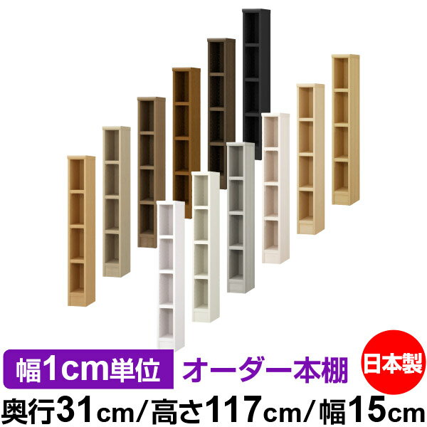 ��ê ���顼�ܥå��� ��1cmñ�̥��������ñ���31cm �⤵117cm ��15cm�������� ���� F�������� ����������å� ��Ǽê ���������ޥ����å� ��...