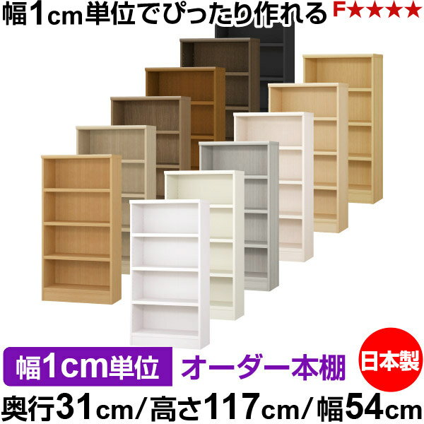 ��ê ���顼�ܥå��� ��1cmñ�̥��������ñ���31cm �⤵117cm ��54cm�������� ���� F�������� ����������å� ��Ǽê ���������ޥ����å� ��...