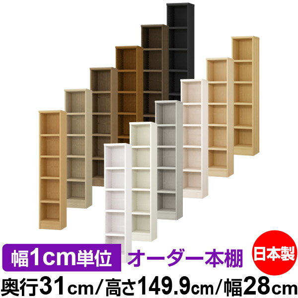 ��ê ���顼�ܥå��� ��1cmñ�̥��������ñ���31cm �⤵149.9cm ��28cm�������� ���� F�������� ����������å� ��Ǽê ���������ޥ����å�...