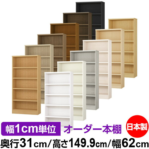 ��ê ���顼�ܥå��� ��1cmñ�̥��������ñ���31cm �⤵149.9cm ��62cm�������� ���� F�������� ����������å� ��Ǽê ���������ޥ����å�...