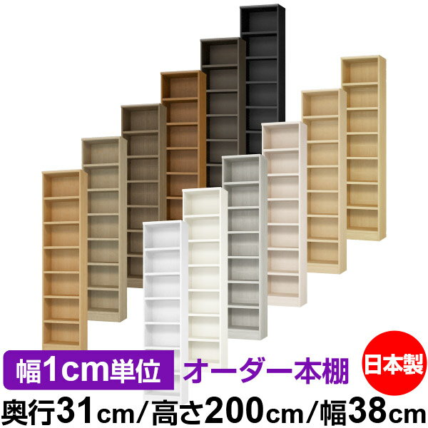 ��ê ���顼�ܥå��� ��1cmñ�̥��������ñ���31cm �⤵200cm ��38cm�������� ���� F�������� ����������å� ��Ǽê ���������ޥ����å� ��...