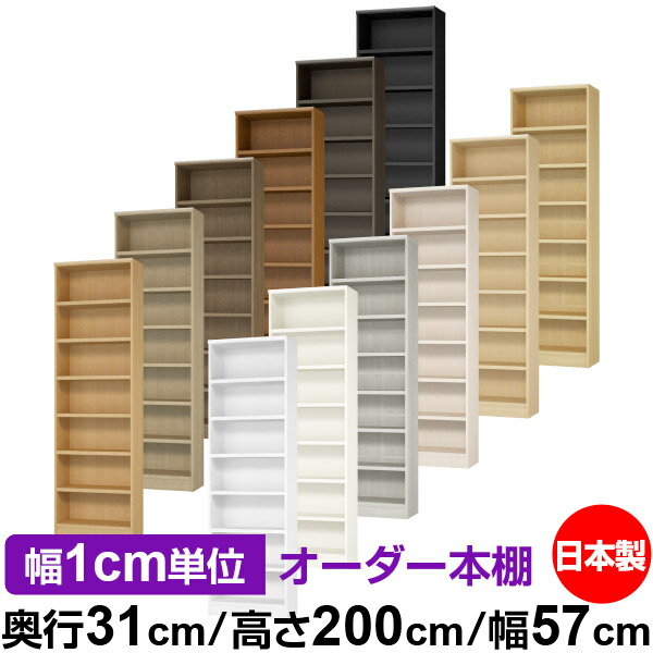 ��ê ���顼�ܥå��� ��1cmñ�̥��������ñ���31cm �⤵200cm ��57cm�������� ���� F�������� ����������å� ��Ǽê ���������ޥ����å� ��...