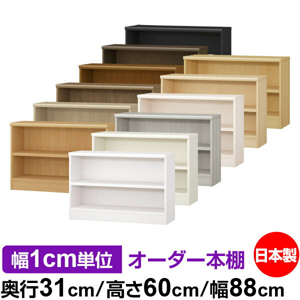 ��ê ���顼�ܥå��� ��1cmñ�̥��������ñ���31cm �⤵60cm ��88cm�������� ���� F�������� ����������å� ��Ǽê ���������ޥ����å� �Ѳ�...