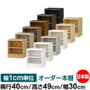 オーダー 本棚 収納 棚 書棚 ラック サイズオーダー 大容量 オーダーマルチラック 奥行40cm 高さ49cm 幅30cm【標準タイプ】【オーダー本棚 本収納 シンプル 頑丈 棚 書庫 ラック オープンラック ファイル 書類 カタログ レコード 収納】