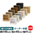 オーダー 本棚 収納 棚 書棚 ラック サイズオーダー 大容量 オーダーマルチラック 奥行40cm 高さ49cm 幅41cm【標準タイプ】【オーダー本棚 本収納 シンプル 頑丈 棚 書庫 ラック オープンラック ファイル 書類 カタログ レコード 収納】
