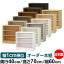 オーダー 本棚 収納 棚 書棚 ラック サイズオーダー 大容量 【送料無料】オーダーマルチラック 奥行40cm 高さ70cm 幅60cm【標準タイプ】【オーダー本棚 本収納 シンプル 頑丈 棚 書庫 ラック オープンラック ファイル 書類 カタログ レコード 収納】(3)