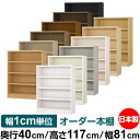 オーダー 本棚 収納 棚 書棚 ラック サイズオーダー 大容量 【送料無料】オーダーマルチラック 奥行40cm 高さ117cm 幅81cm【耐荷重 タフタイプ】【オーダー本棚 本収納 シンプル 頑丈 棚 書庫 ラック オープンラック ファイル 書類 カタログ レコード 収納】