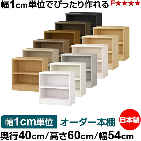 本棚 幅1cm単位オーダー 大容量 書棚 ラック｜奥行40cm 高さ60cm 幅54cm｜日本製 木製 大容量 耐荷重タフタイプ 書棚 シンプル収納 送料無料