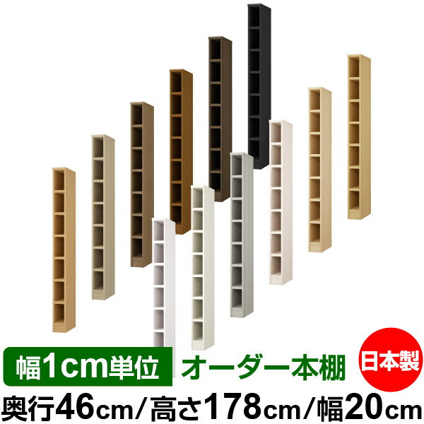 固定棚のない全棚板可動のフルオープン構造 本棚 大型書籍、大型ファイルの大量収納に最適　棚板は耐荷重性に優れたタフタイプ　当店独自の全棚板移動1.5cmピッチと幅木カットが選べます　低ホルムアルデヒド　F★★★★サイズ奥行46cm×高さ17...