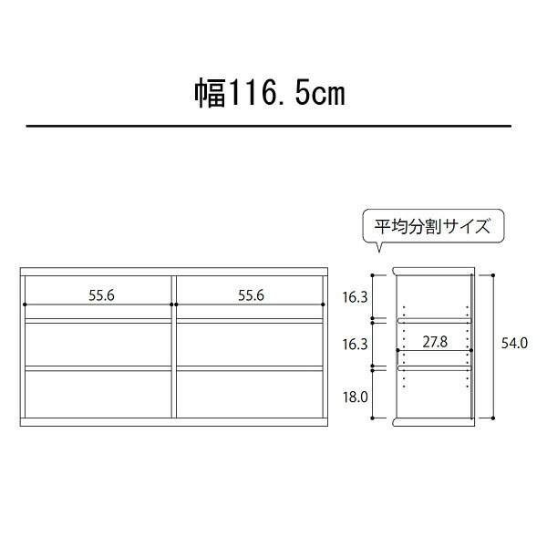 カラーボックス 本棚 書棚 飾り棚 整理棚 レディメイドラック（幅116.5×奥行31×高...