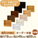スリム本棚 薄型ラック 奥行19cm 高さ49cm 幅50cm|日本製 木製オーダー本棚|5cm単位セミオーダー F★★★★対応