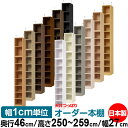 天井 つっぱり オーダー 本棚 収納 棚 書棚 ラック サイズオーダー 書棚 天井 突っ張り 【送料無料】天井つっぱり オーダーラック 奥行46cm 高さ250~259cm 幅27cm【標準タイプ】【オーダー本棚 オープンラック 本収納 シンプル 頑丈 壁面収納 書庫 収納】(3)