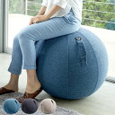バランスボールチェア vivora シェニール ルーノ シーティング チェア イス 65cm 耐荷重120kg おしゃれ プレゼント ダイエット ヨガ 産後 空...