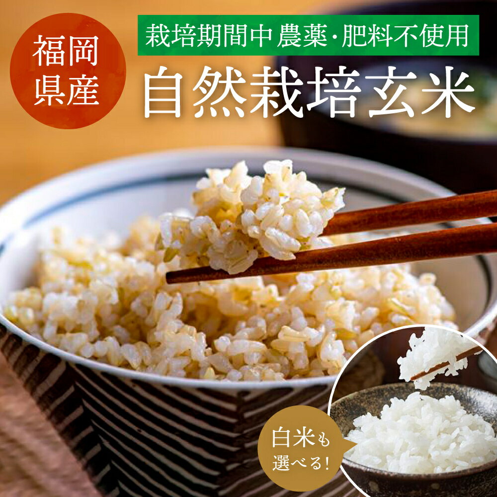 楽天市場】玄米 無農薬 2kg(産地(都道府県)福岡)の通販 楽天市場】玄米 無農薬 2kg(産地(都道府県)福岡)の通販