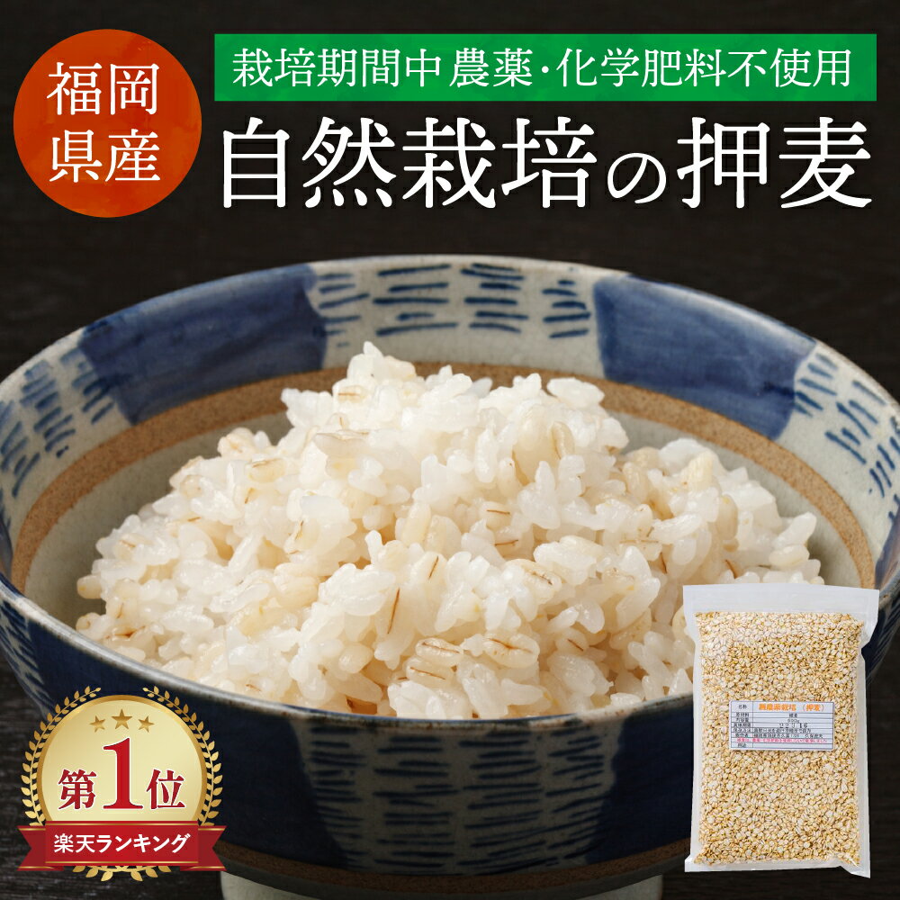 楽天市場】無農薬自然栽培大麦の通販 楽天市場】無農薬自然栽培大麦の通販