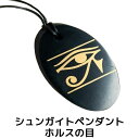 シュンガイト ペンダント ホルスの目 PE158 ネックレス ロシア カレリア共和国産 シュンガ石 水 ブレスレット さざれ石 電磁波 パワーストーン シルバー...