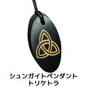 シュンガイト ペンダント トリケトラ PE177 ネックレス ロシア カレリア共和国産 シュンガ石 水 ブレスレット さざれ石 電磁波 パワーストーン シルバー...