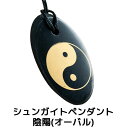 シュンガイト ペンダント 陰陽(オーバル) PE40 ネックレス ロシア カレリア共和国産 シュンガ石 水 ブレスレット さざれ石 電磁波 パワーストーン シル...