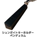 シュンガイト キーホルダー ペンデュラム SK03 ネックレス ロシア カレリア共和国産 シュンガ石 水 ブレスレット さざれ石 電磁波 パワーストーン シルバー ノーブル シュンガイト 原石 ユニセックス メンズ レディース(3)
