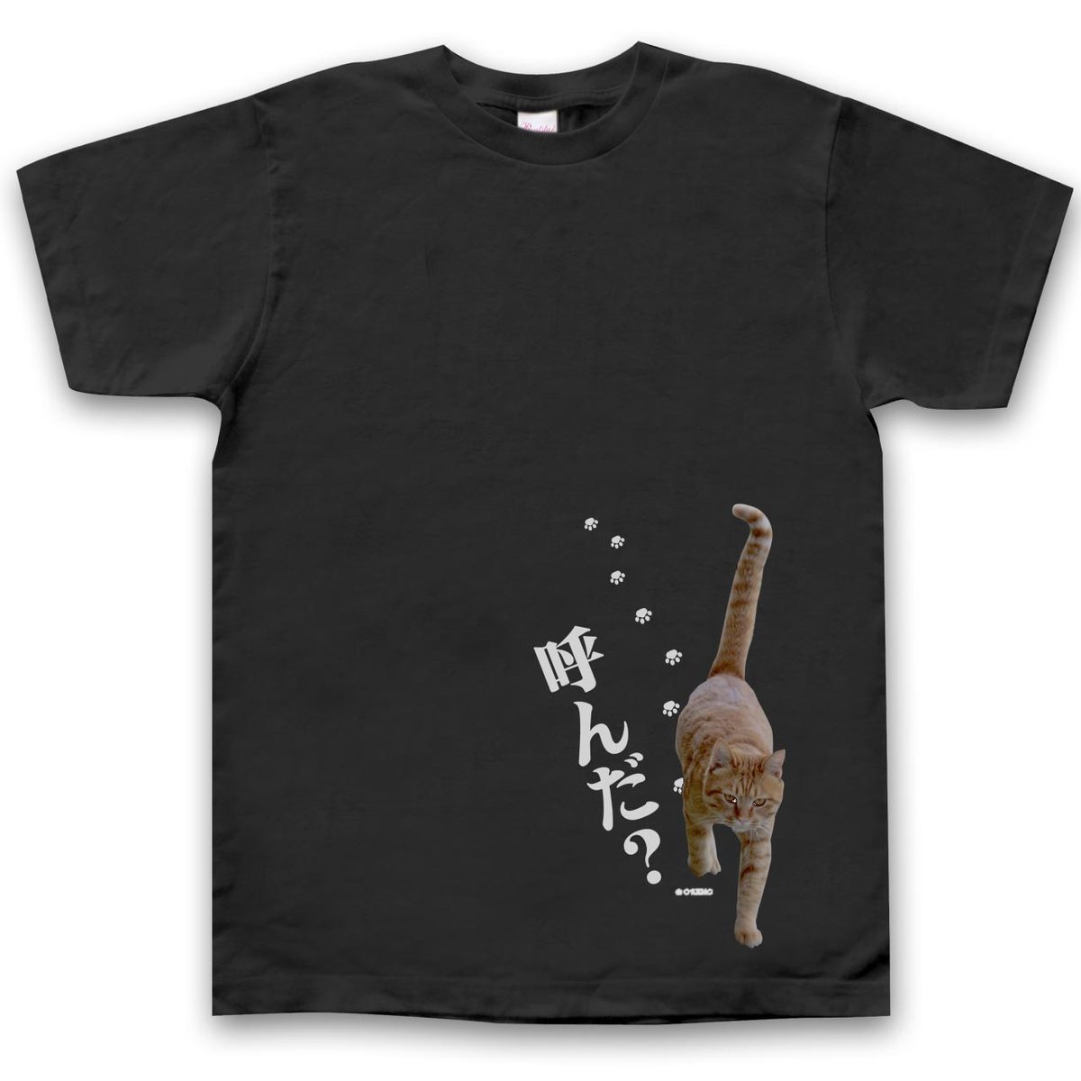 おもしろTシャツ 半袖Tシャツブラック 猫好き 実写猫柄「呼んだ?」ネコ ねこ ぬこ キャット 茶トラ 飲み会 注目 面白い メンズ レディース かわいい 黒