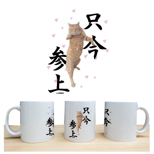 面白いマグカップ おもしろ 猫好きな方専用 マグカップ 陶器 猫柄 茶虎 「只今参上」ネコ ねこ ぬこ キャット 茶トラ 注目 面白い メンズ レディース かわいい