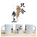 おもしろ 猫好きな方専用 マグカップ 陶器 猫柄 茶虎 「只今参上」ネコ ねこ ぬこ キャット 茶トラ 注目 面白い メンズ レディース かわいい