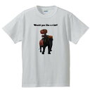 おもしろtシャツ ゾウ エスニック アジアン 半袖 Tシャツ ホワイト 象 写真「Would you like a ride （乗ってく？）」 面白い メンズ レディース