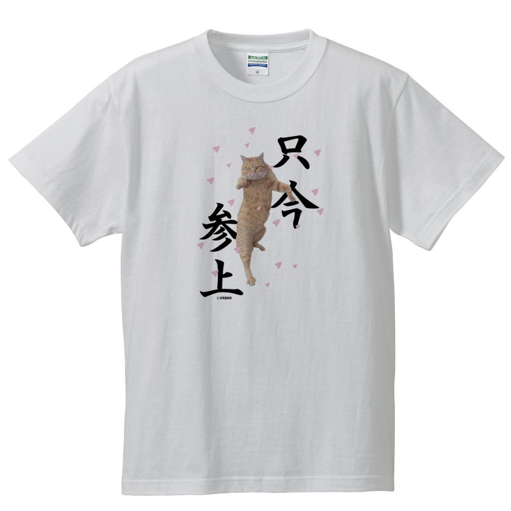 おもしろtシャツ 宴会用 お花見 半袖Tシャツホワイト　実写猫柄「只今参上」ネコ ねこ ぬこ キャット 茶トラ 飲み会 面白い メンズ レディース かわいい