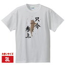 おもしろtシャツ XXL 3L 宴会用 お花見 半袖Tシャツホワイト 実写猫柄「只今参上」ネコ ねこ ぬこ キャット 茶トラ 大きいサイズ 飲み会 面白い メンズ レディース かわいい