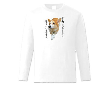 おもしろtシャツ 長袖Tシャツ ホワイト コーギー 実写犬柄 でかいつらするな