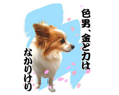 おもしろ Tシャツ パピヨン 犬柄 長袖Tシャツ ホワイト メンズ レディース グッズ S/M/L/XL「色男、金と力はなかりけり」