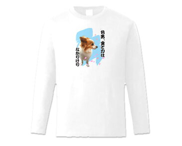 おもしろ Tシャツ パピヨン 犬柄 長袖Tシャツ ホワイト メンズ レディース グッズ S/M/L/XL「色男、金と力はなかりけり」