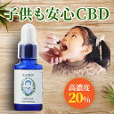 【10%OFF】 KAREN CBD OIL 20% CBD2000mg 10ml 高濃度 有機オイル 子ども 子供 安心 ブロードスペクトラム MCTオイル 高品質 高純度 健康 オイル サプリ サプリメント ヘンプ スキンケア 美容 ギフト カンナビノイド カンナビジオール リラックス 睡眠 スーパーSALE