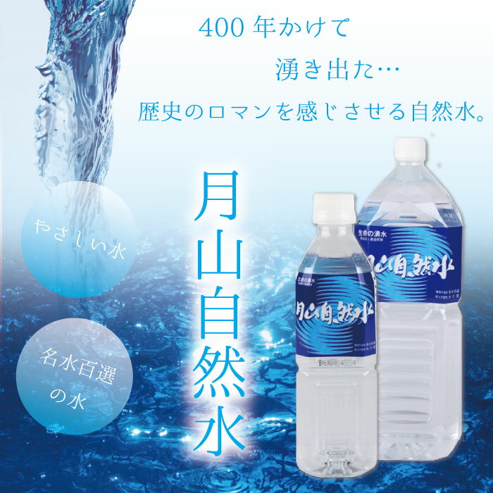 西川町総合開発 月山自然水 500ml×24(...の紹介画像2