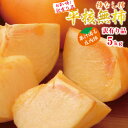 【山形県 庄内産】平核無柿5kg(訳有り品)こだわり栽培 手...