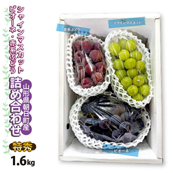 楽天市場】ゴルビー（ブドウ｜フルーツ・果物）：食品の通販