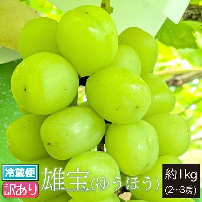 楽天市場】雄宝 ぶどう（食品）の通販