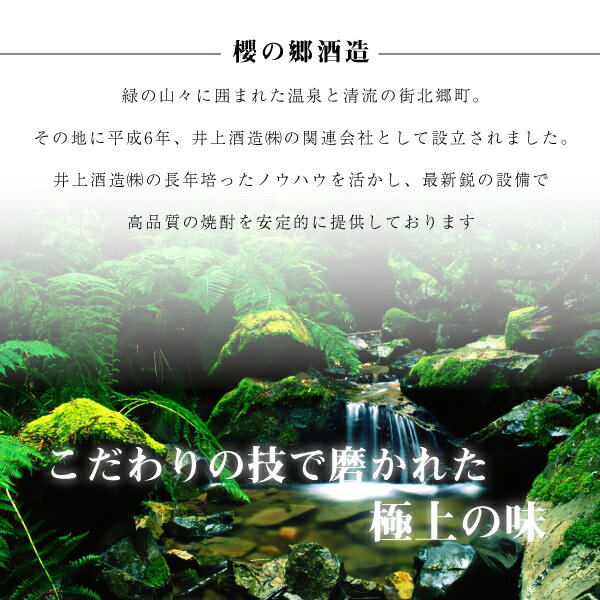 櫻の郷酒造 梅リキュール さわやか健美梅酒 （5度） 300ml 消費税10% 3