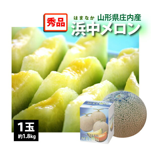 【8月9日〜8月13日出荷】浜中メロン 山形県庄内産 秀品 1玉(約1.8kg)