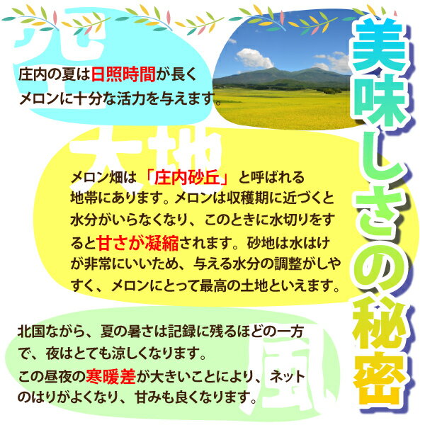 【訳あり】浜中メロン 山形県 庄内産 5kg 3〜6玉セット 7月上旬～7月下旬 順次発送...