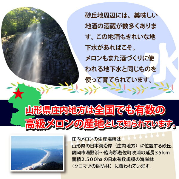 【訳あり】浜中メロン 山形県 庄内産 5kg 3〜6玉セット 7月上旬～7月下旬 順次発送...