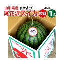 【7月下旬~】尾花沢スイカ 山形県 秀品 2Lサイズ 7~8kg 【7月下旬~順次発送】